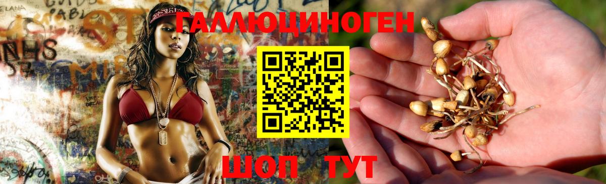 Псилоцибиновые грибы ЛСД  Псилоцибиновые грибы мицелий  Вход с VPN  Волжский 
